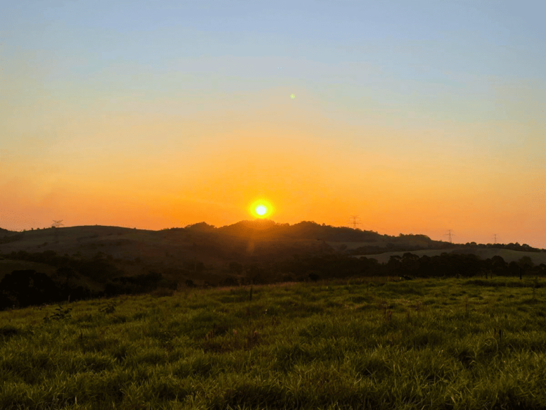 IMG-INV-MIRANTE2- (3)